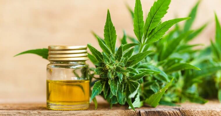 Cannabis oil a growing option for Cayman’s doctors and vets